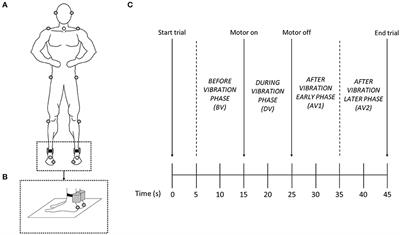 Gymnastics Experience Enhances the Development of Bipedal-Stance Multi-Segmental Coordination and Control During Proprioceptive Reweighting